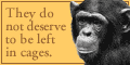 The Great Ape Project